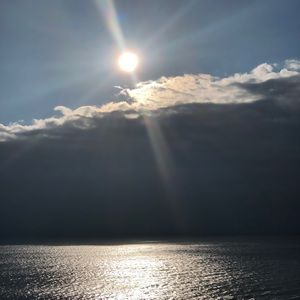 Meet your Posher, Nyla